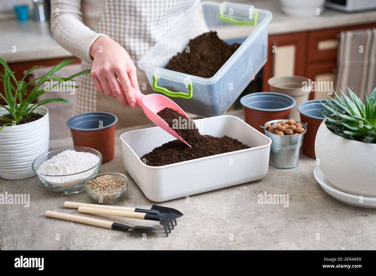 preparation of soil substrate for planting houseplant into a pot Stock
