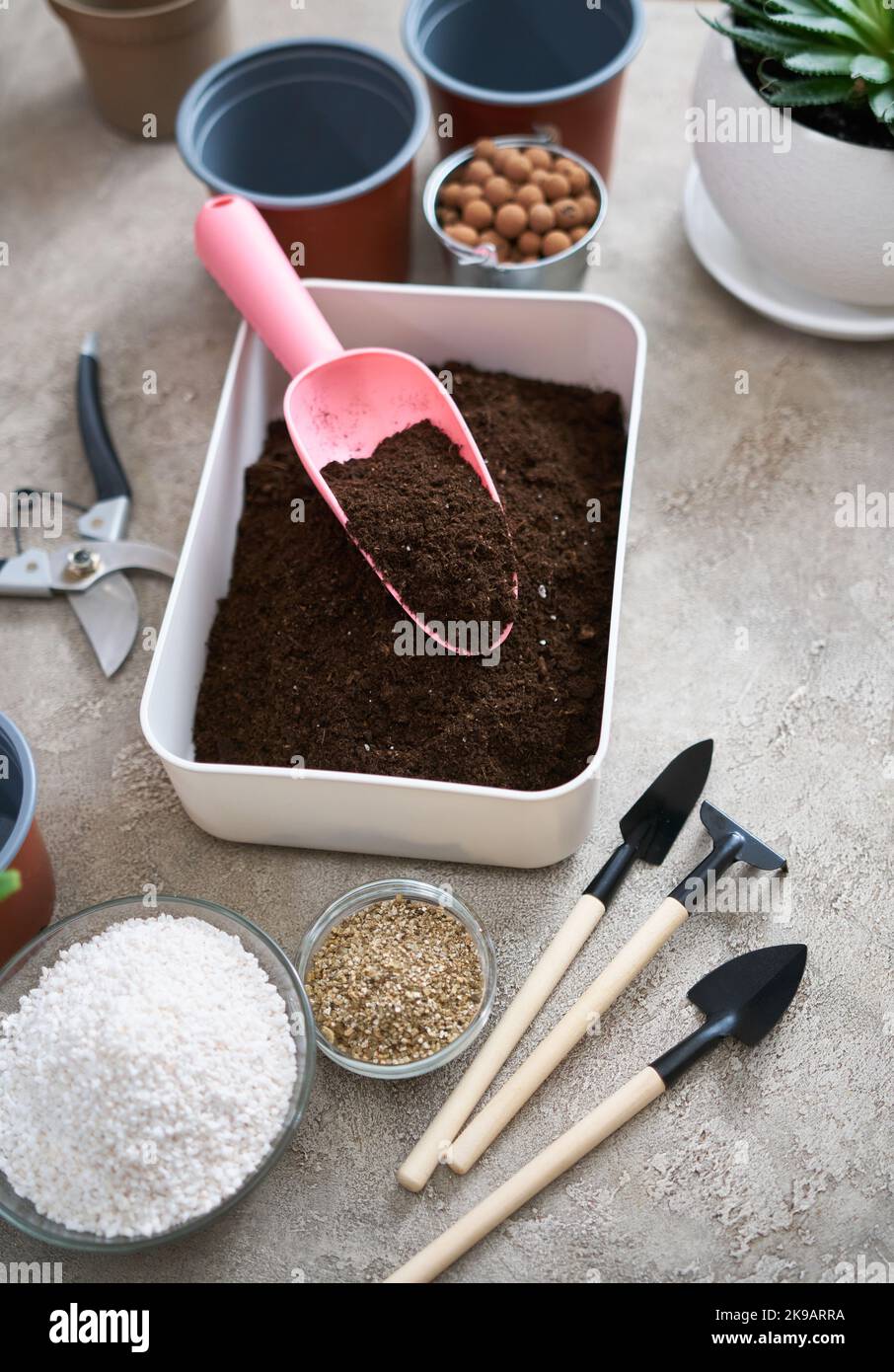 preparation of soil substrate for planting houseplant into a pot Stock