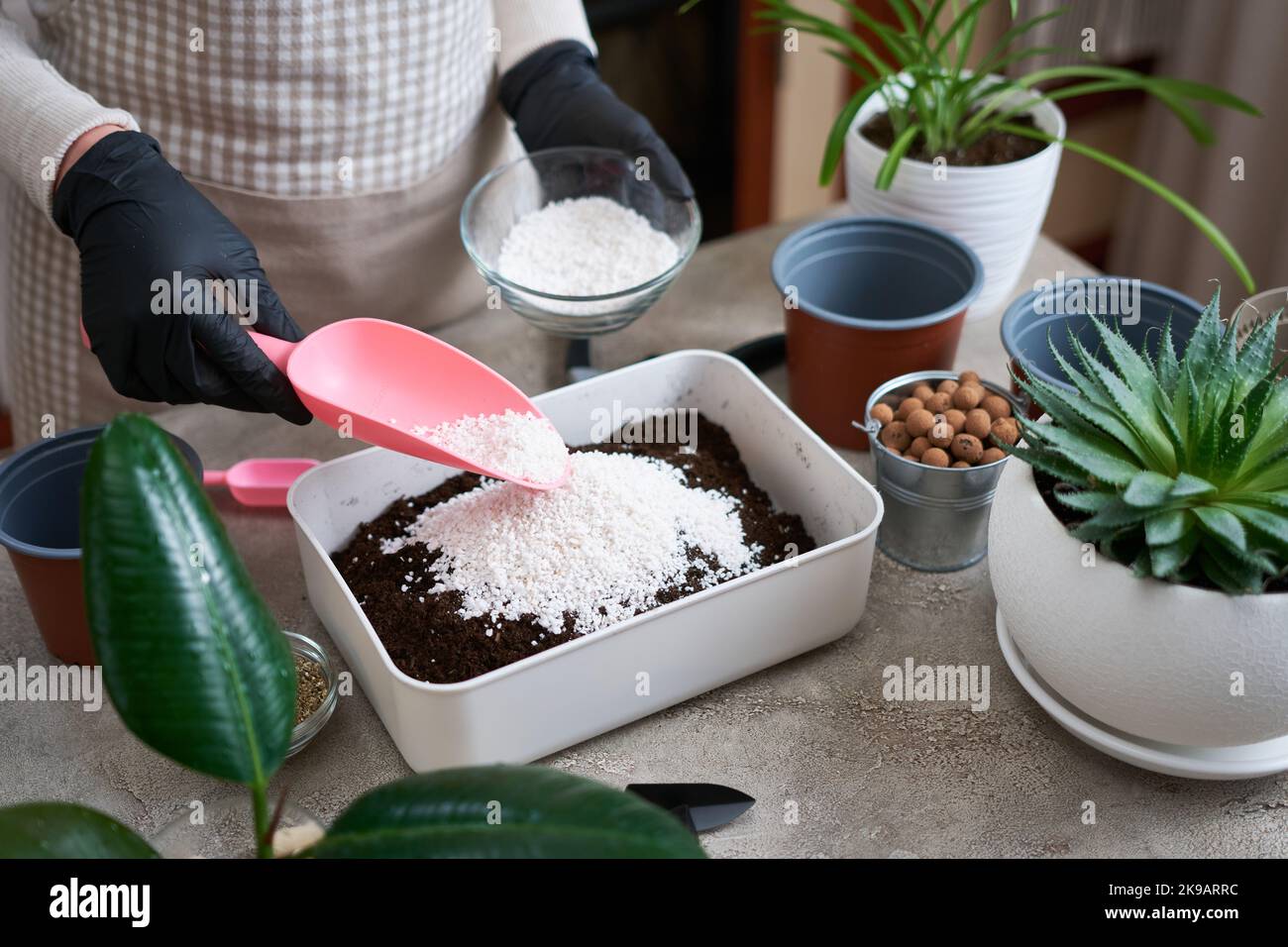 preparation of soil substrate for planting houseplant into a pot Stock