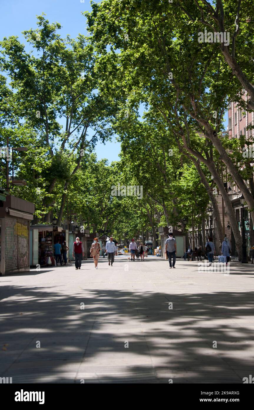 5 June 2020, Emptied Ramblas during Phase 1 of Lockdown in Barcelona, Ciutat Vella, Spain. Stock Photo