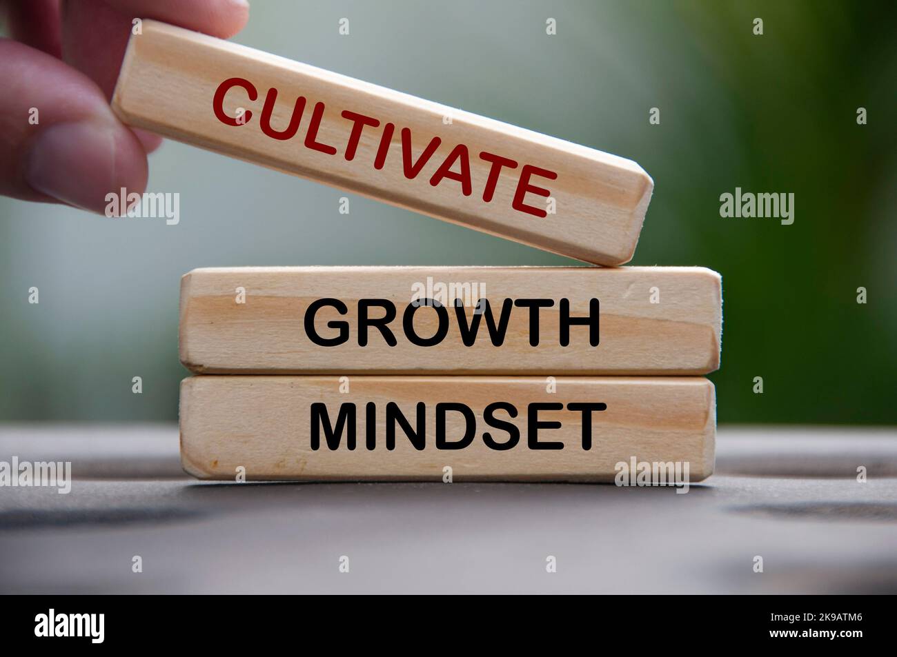 Cultivate growth mindset text on wooden blocks with blurred park background. Stock Photo