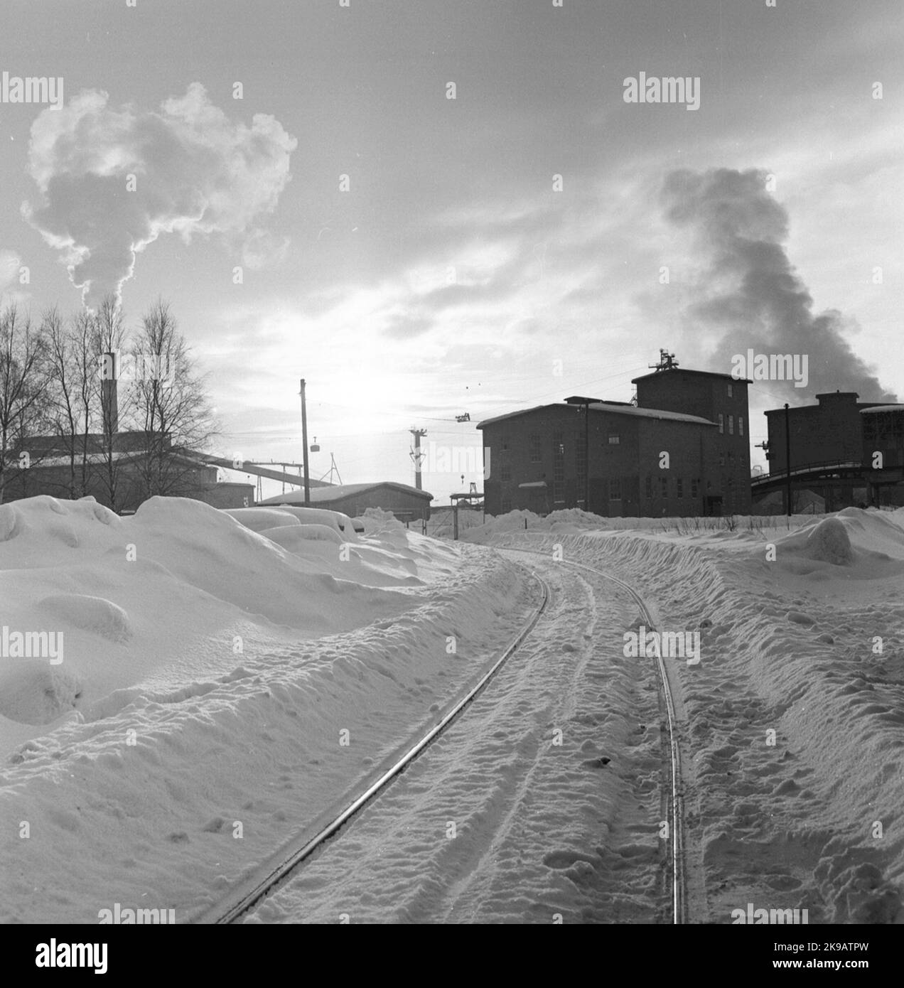 AB State Forest Industries, Assi, Piteå Stock Photo - Alamy