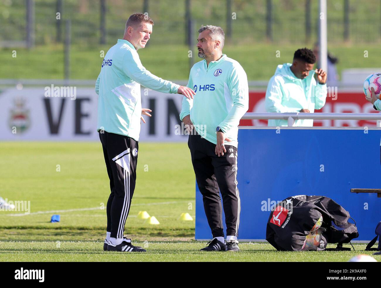 Schalke, Deutschland. 27th Oct, 2022. firo : 27.10.2022, football, soccer,  1.Bundesliga, first league season 2022/2023, FC Schalke 04 1st training  Thomas Reis Credit: dpa/Alamy Live News Stock Photo - Alamy