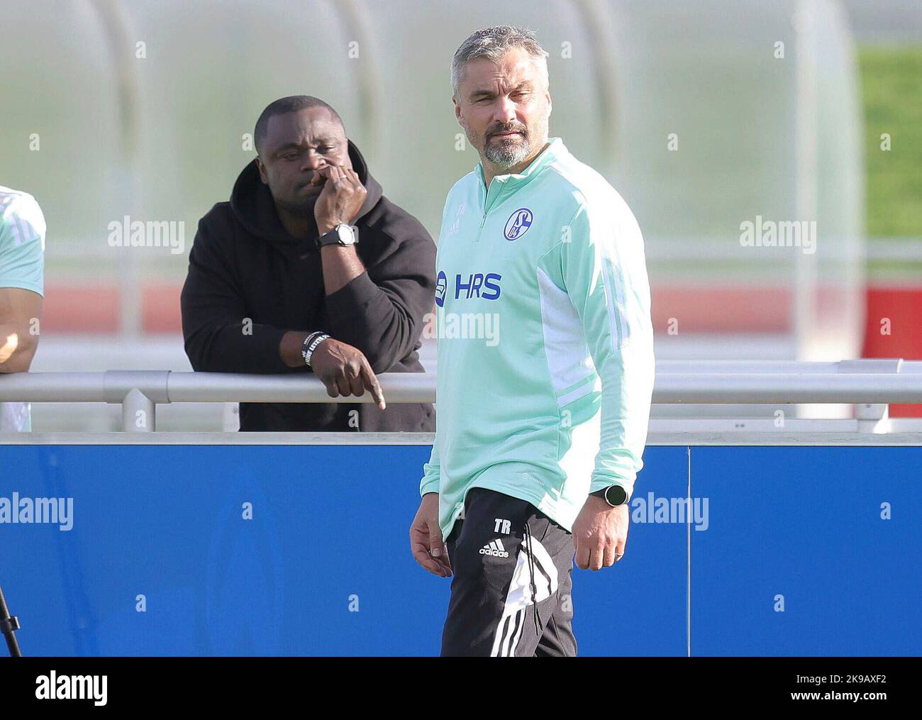 Schalke, Deutschland. 27th Oct, 2022. firo : 27.10.2022, football, soccer,  1.Bundesliga, first league season 2022/2023, FC Schalke 04 1st training  Thomas Reis Credit: dpa/Alamy Live News Stock Photo - Alamy