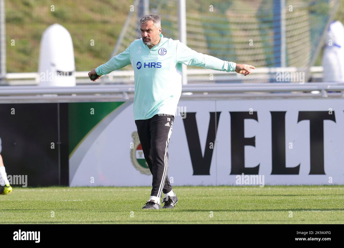 Schalke, Deutschland. 27th Oct, 2022. firo : 27.10.2022, football, soccer,  1.Bundesliga, first league season 2022/2023, FC Schalke 04 1st training  Thomas Reis Credit: dpa/Alamy Live News Stock Photo - Alamy