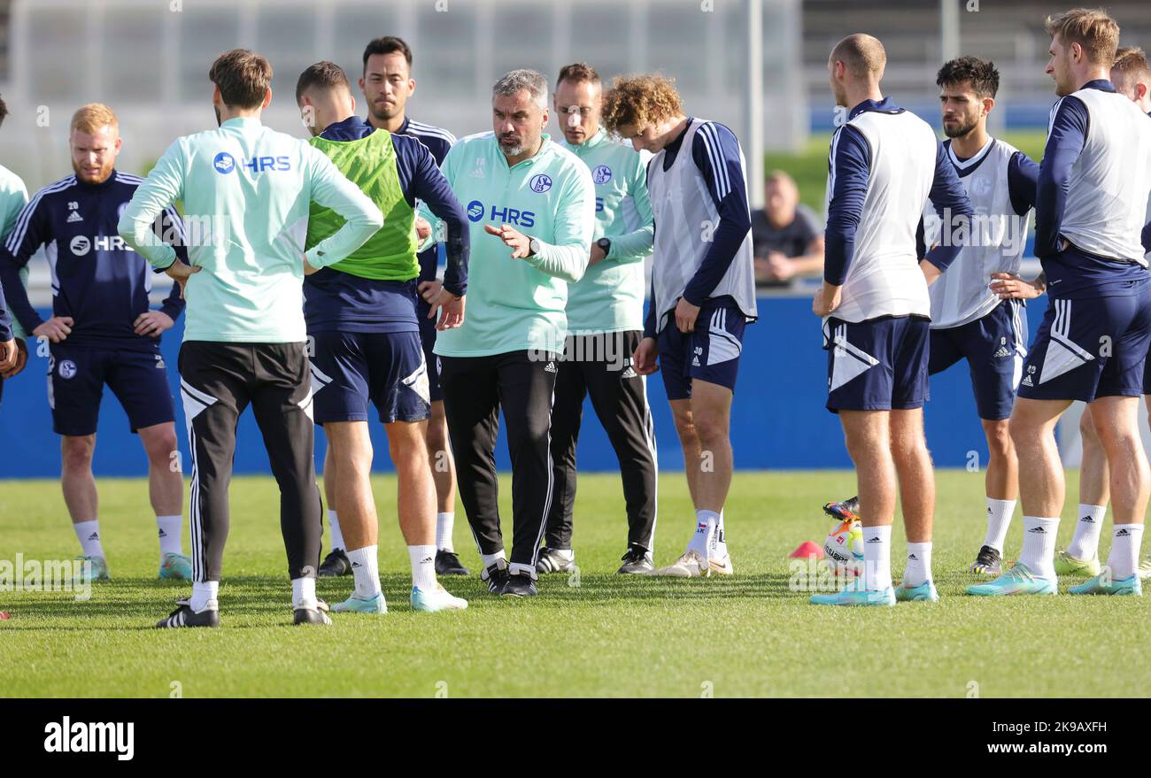 Schalke, Deutschland. 27th Oct, 2022. firo : 27.10.2022, football, soccer,  1.Bundesliga, first league season 2022/2023, FC Schalke 04 1st training  Thomas Reis Credit: dpa/Alamy Live News Stock Photo - Alamy