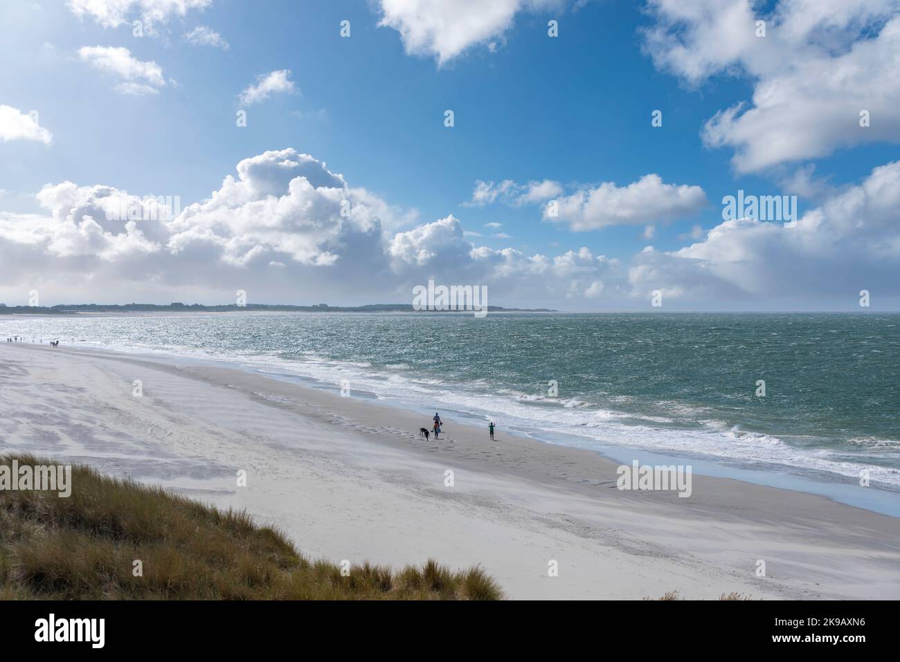 Landscape with view over Banjaard beach, Kamperland, Zeeland, Netherlands, Europe Stock Photo