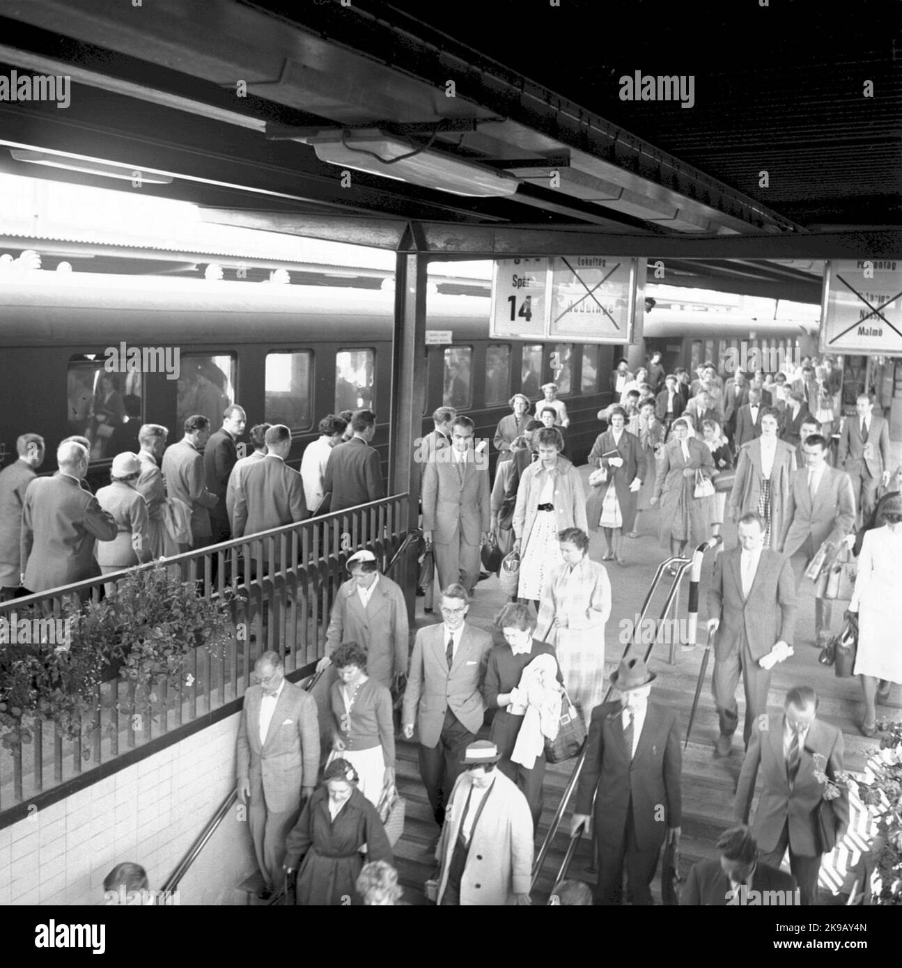 Local traffic at Central Station Stock Photo Alamy