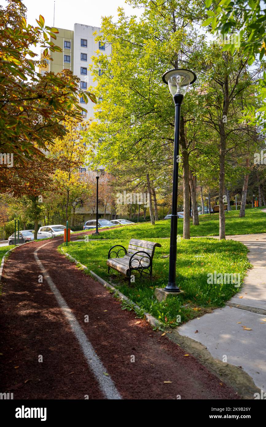 Park and sitting bench in autumn Stock Photo - Alamy