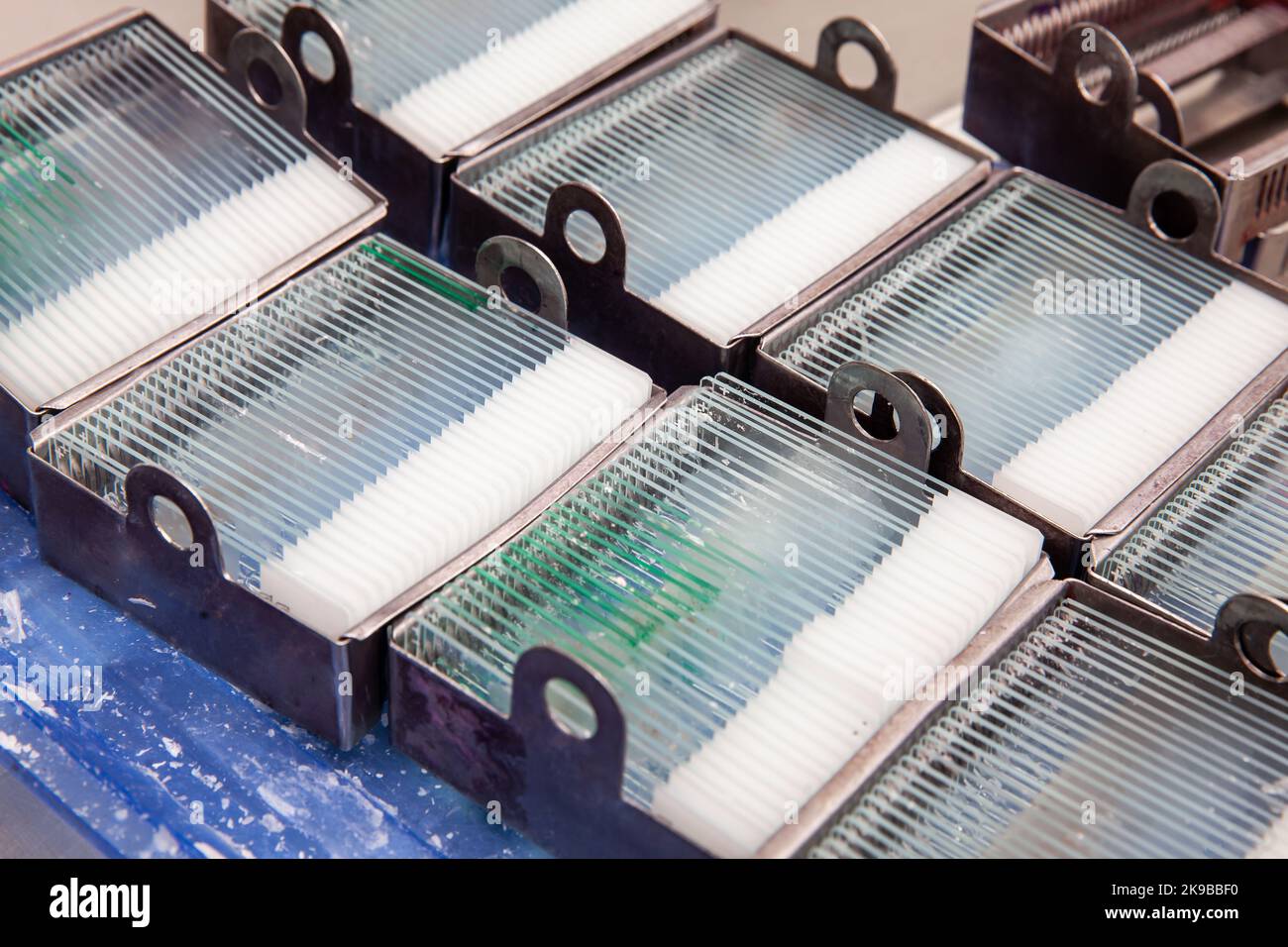 Microscope slides with tissue sections ready to be stained for pathological analysis Stock Photo