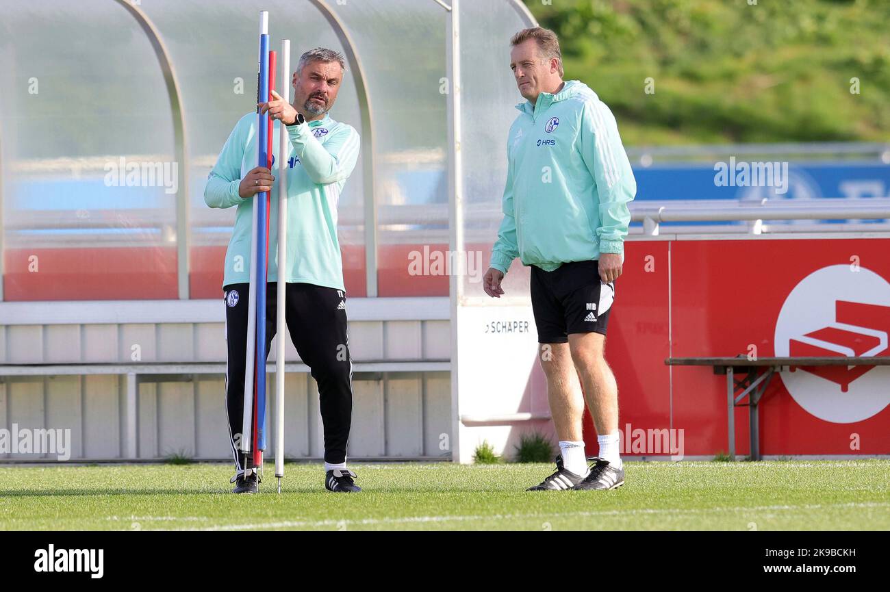 Schalke, Deutschland. 27th Oct, 2022. firo : 27.10.2022, football, soccer,  1.Bundesliga, first league season 2022/2023, FC Schalke 04 1st training  Thomas Reis Credit: dpa/Alamy Live News Stock Photo - Alamy