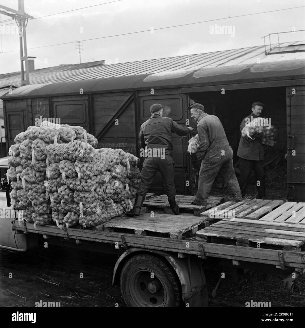 Spanish freight car with orange load Stock Photo