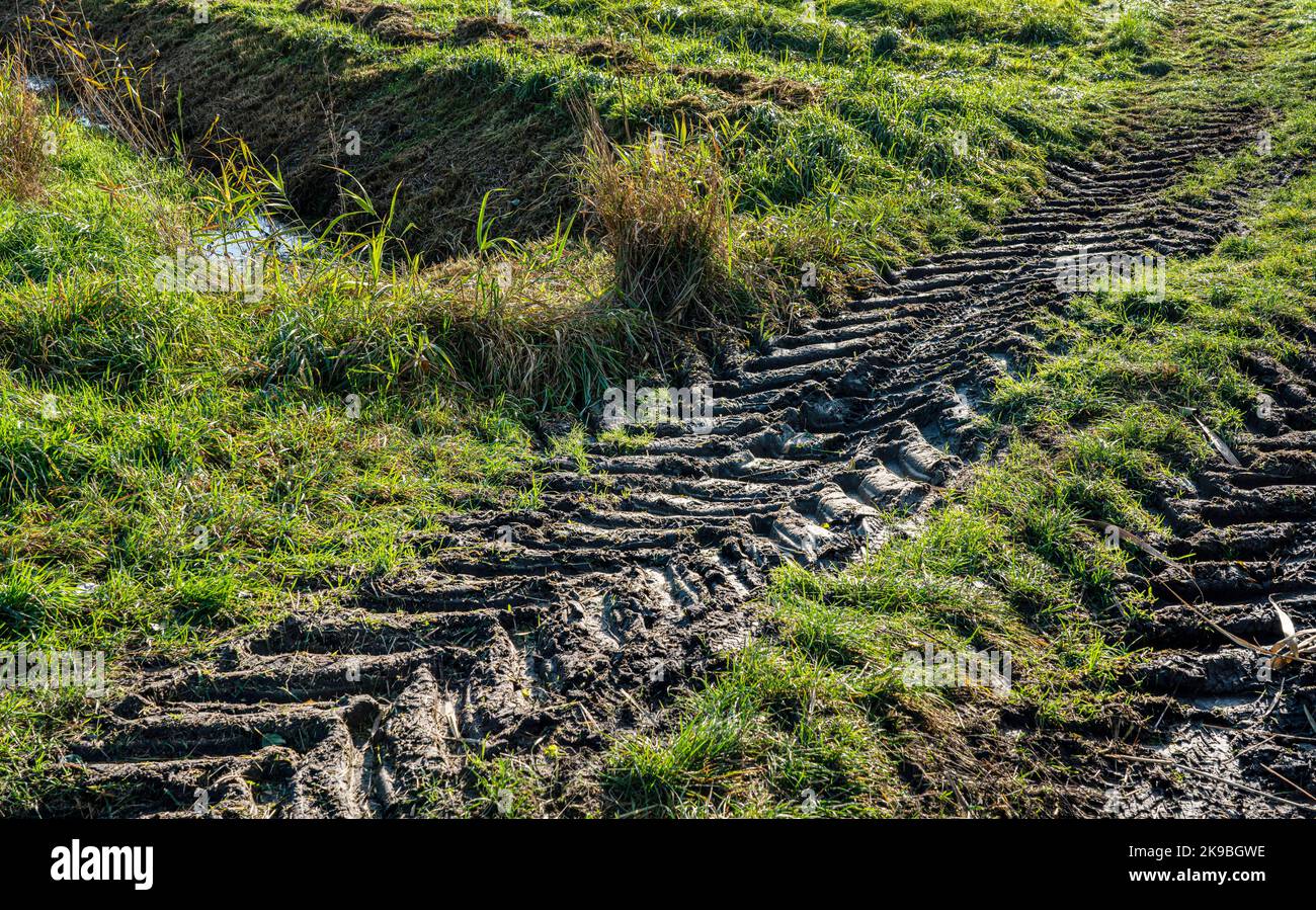 Tire Tracks In The Mud Stock Photo Alamy