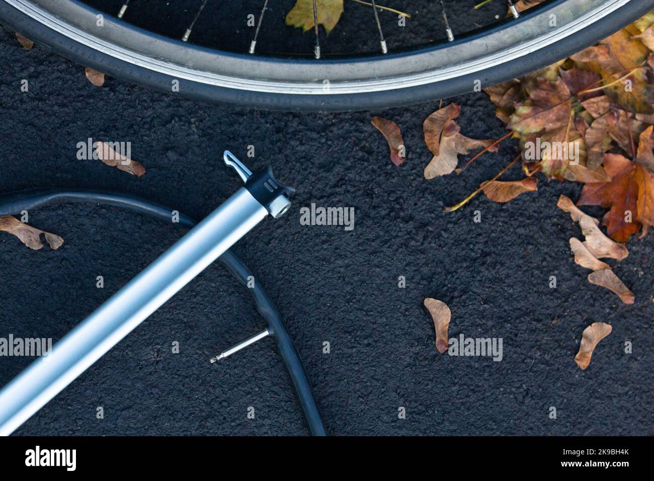 A bicycle wheel, pump and inner tube during autumn Stock Photo