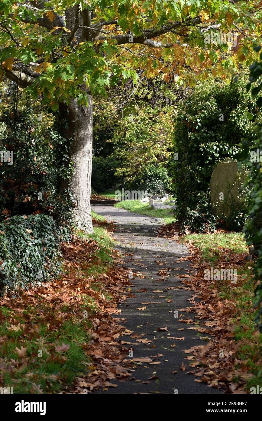 Autumn time with a path running through a quiet cemetery.  Flanked by trees of different colours. Stock Photo