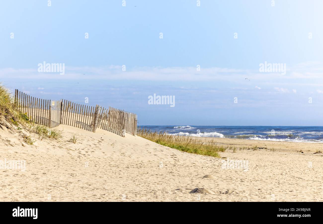 Cooper's beach landscape and ocean Stock Photo