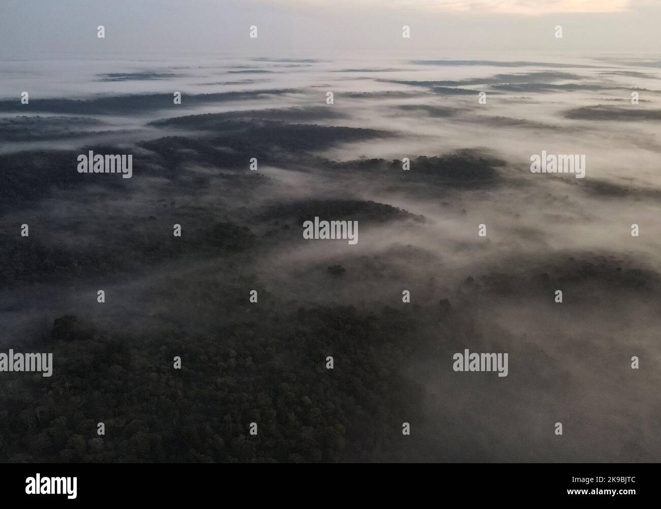 An aerial view shows trees and fog at the Amazon rainforest in Manaus, Amazonas State, Brazil October 26, 2022. REUTERS/Bruno Kelly Stock Photo