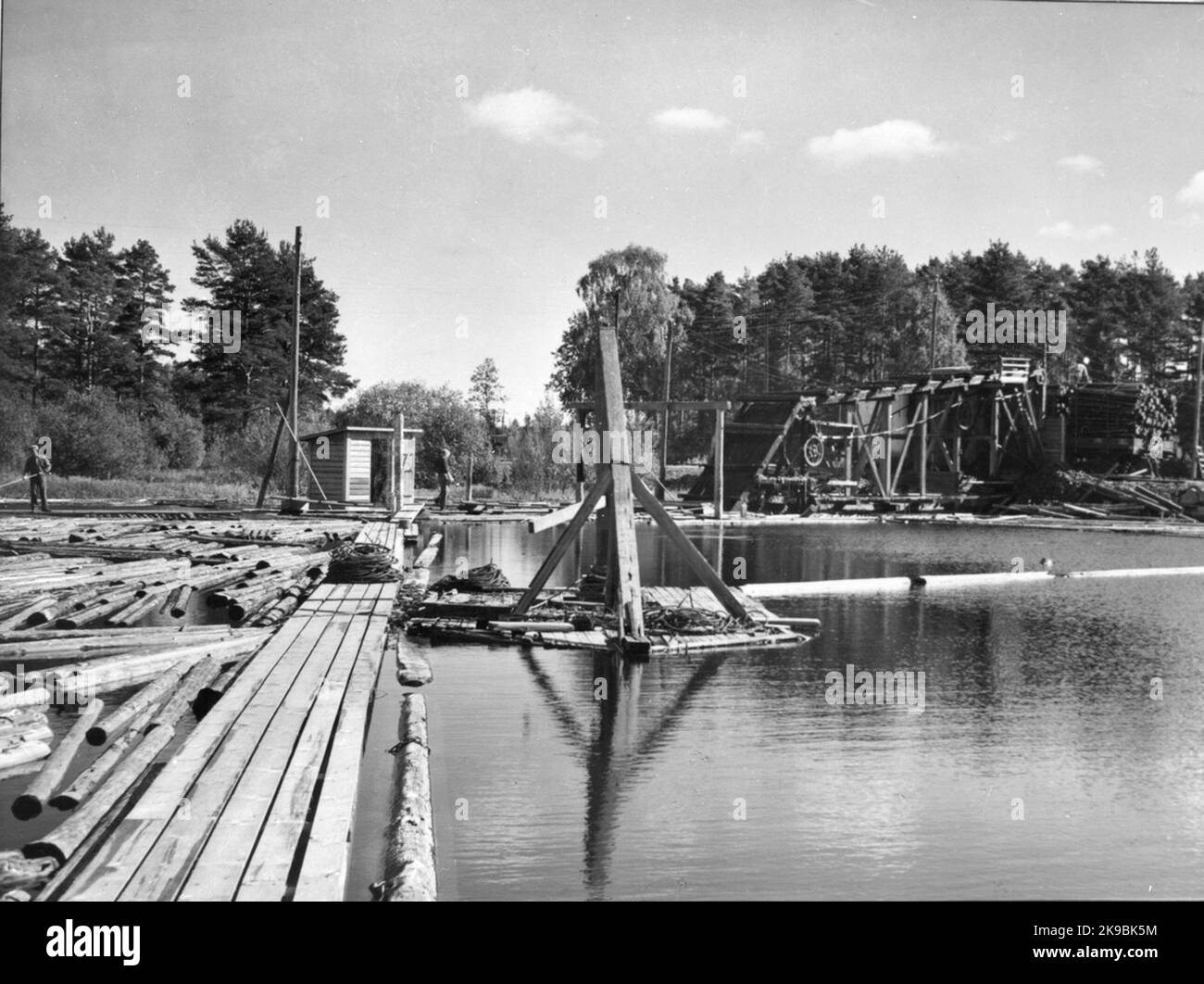 Timber's demand for Lake Runn. Stock Photo