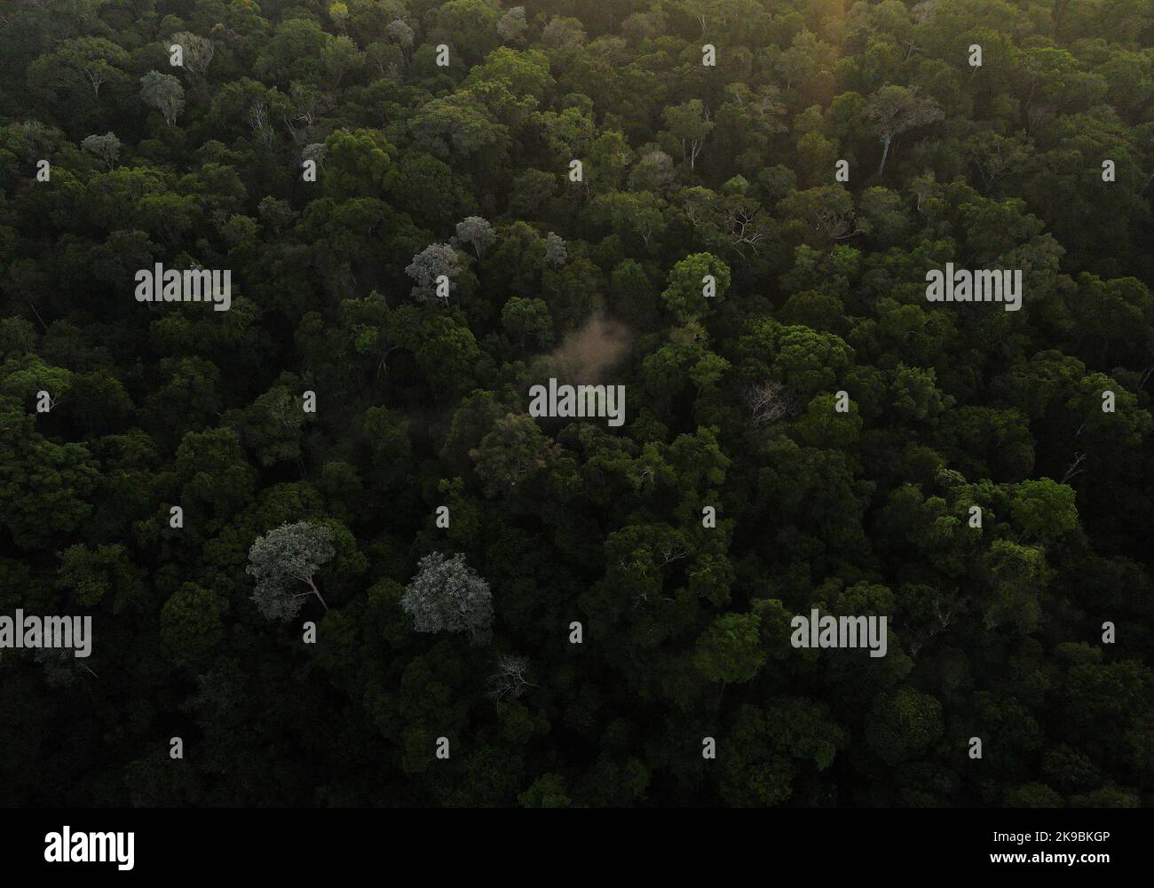 An aerial view shows trees as the sun rises at the Amazon rainforest in Manaus, Amazonas State, Brazil October 26, 2022. REUTERS/Bruno Kelly Stock Photo