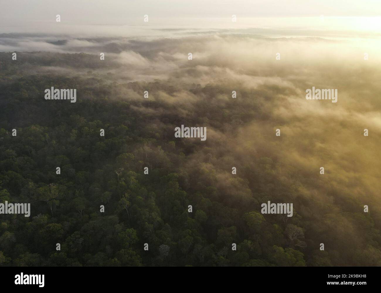 An aerial view shows trees and fog at the Amazon rainforest in Manaus, Amazonas State, Brazil October 26, 2022. REUTERS/Bruno Kelly Stock Photo