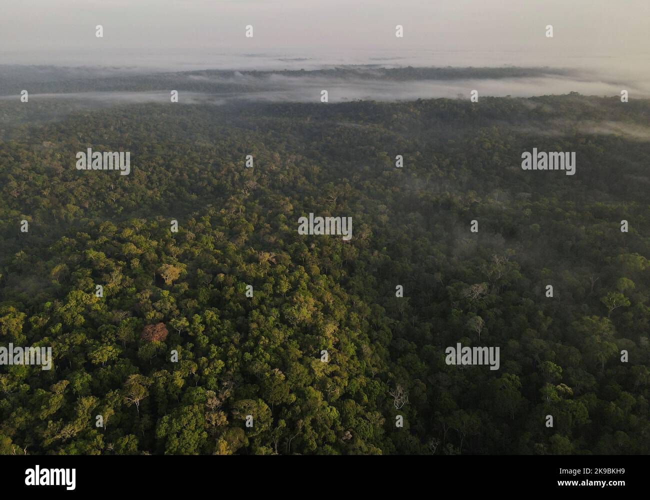 An aerial view shows trees as the sun rises at the Amazon rainforest in Manaus, Amazonas State, Brazil October 26, 2022. REUTERS/Bruno Kelly Stock Photo