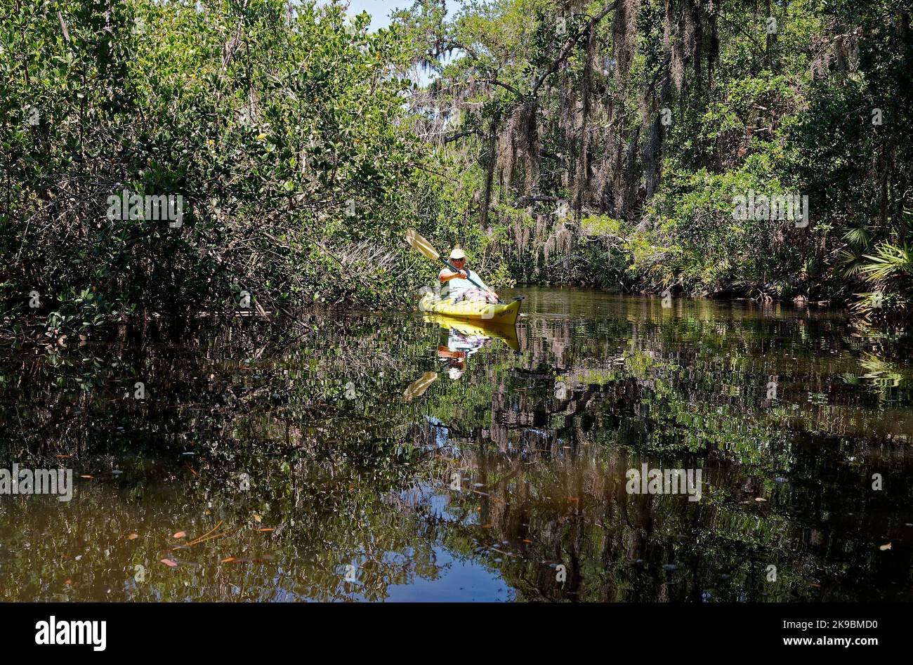 Oscar scherer state park hi-res stock photography and images - Alamy