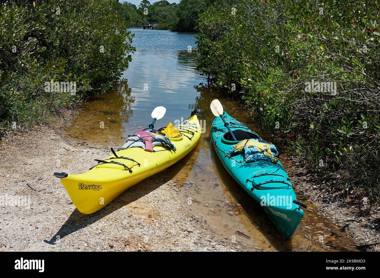 2 kayaks waiting, water's edge, paddles, PFDs, colorful, recreation, sport, exercise, watercraft, South Creek, Oscar Scherer State Park, Florida, Ospr Stock Photo
