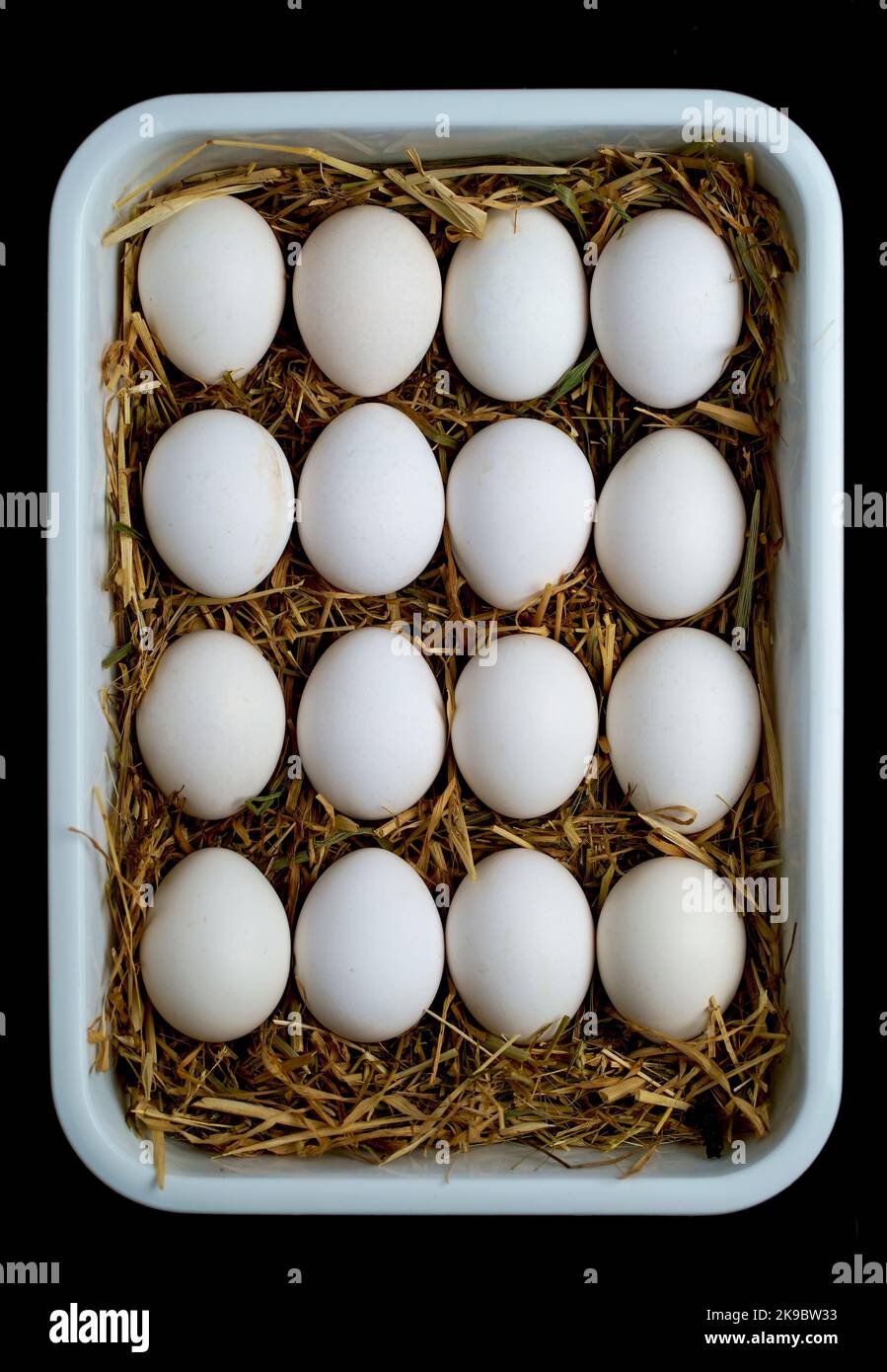 fresh farm chicken eggs in a tray lie on a straw Stock Photo - Alamy