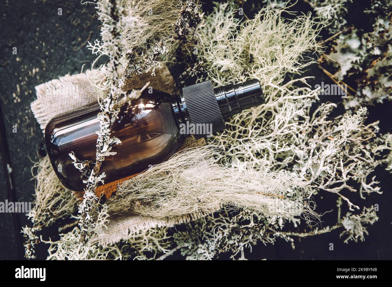 Brown glass bottle with herbal lichen medicine tincture inside concept. Usnea barbata or old man's beard or beard lichen tincture concept. Black wood. Stock Photo