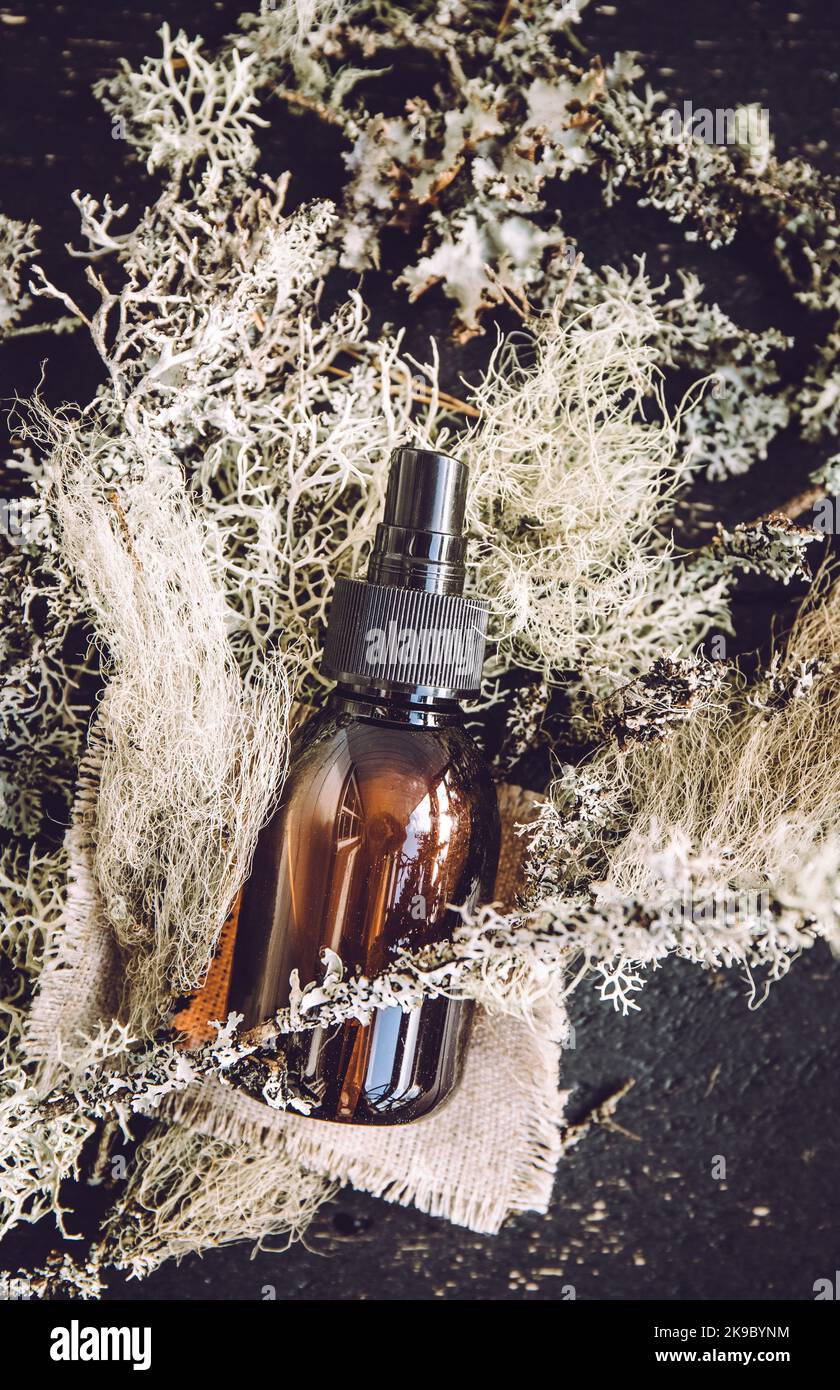 Brown glass bottle with herbal lichen medicine tincture inside concept. Usnea barbata or old man's beard or beard lichen tincture concept. Black wood. Stock Photo