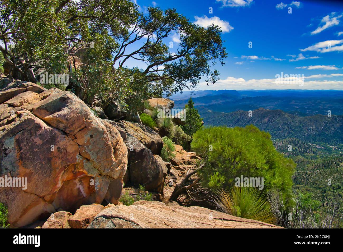 View from Tanderra Saddle along the St Mary Peak Hike, Wilpena Pound, Flinders Ranges, South