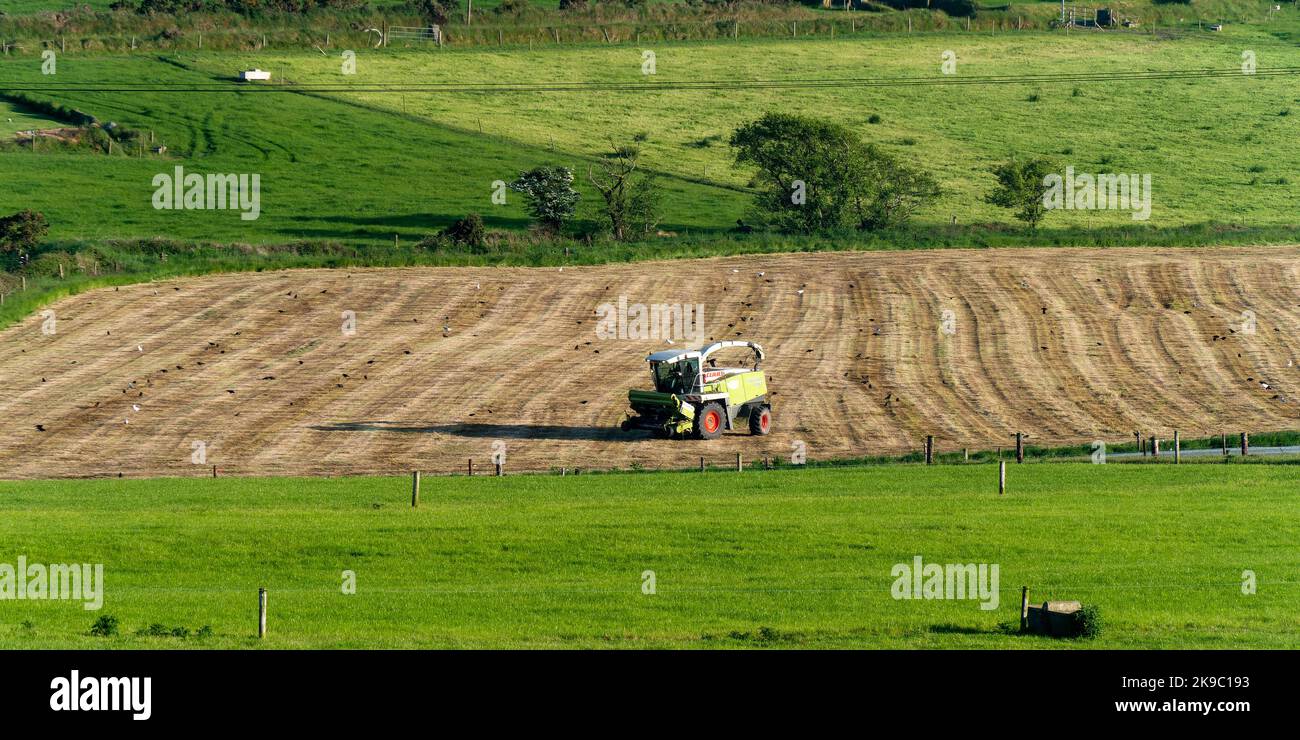 County Cork, Ireland, May 28, 2022. An harvester rides through a farmfield. Irish agrarian landscape. Agricultural machinery of the Claas brand, green Stock Photo