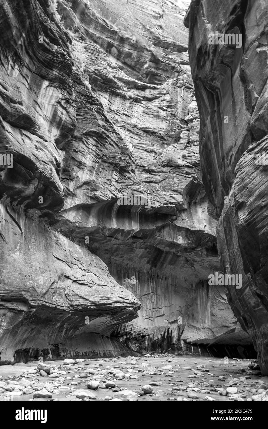 The Narrows hiking trail up the Virgin River, Zion National Park, Utah