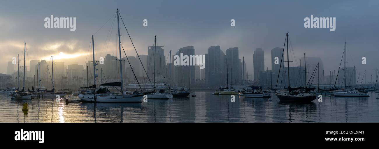 Foggy San Diego skyline behind San Diego harbor full of sailboats during an early morning sunrise. Beautiful color landscape photography at sunrise. Stock Photo