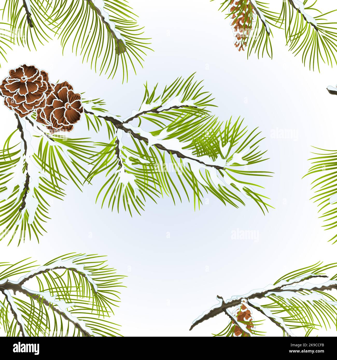 Seamless texture white Pine branches with pine cone winter snowy ...