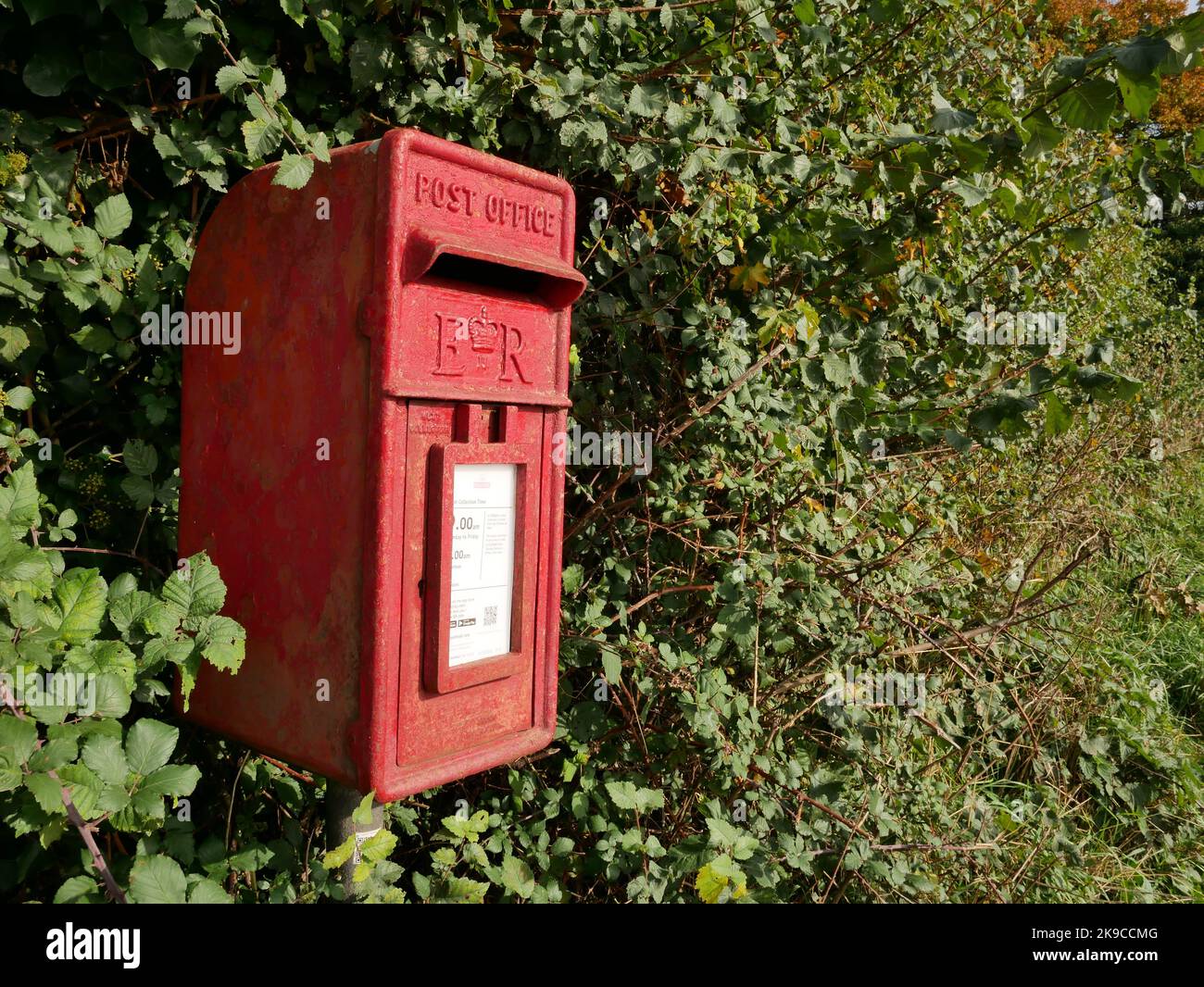 Rural services. A Royal Mail letter box in a roadside hedgerow. Stock Photo