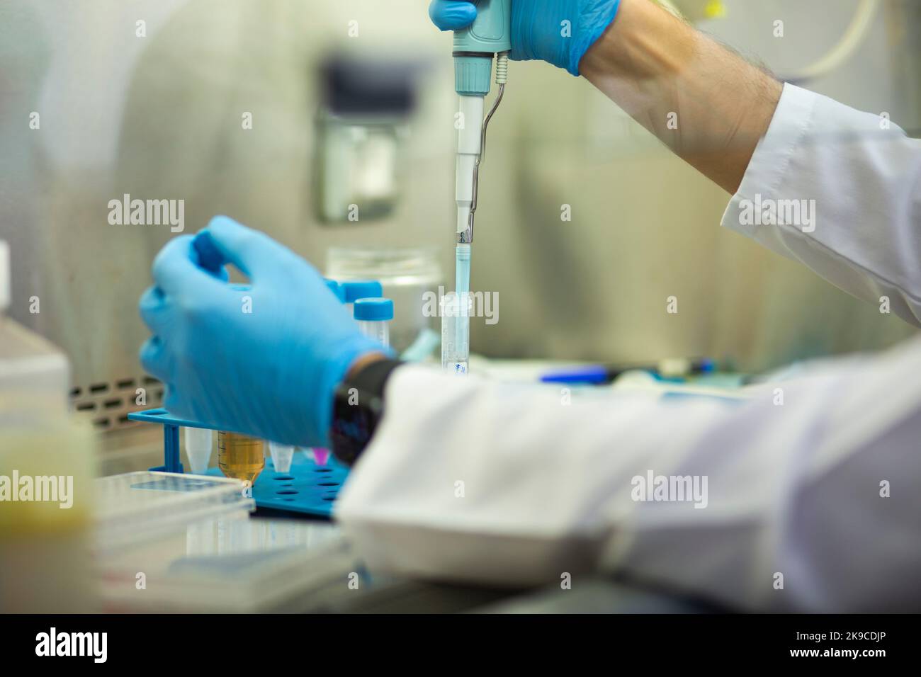 Lab Bio Cell cell culture, medicine, medical and biology laboratory Stock Photo - Alamy