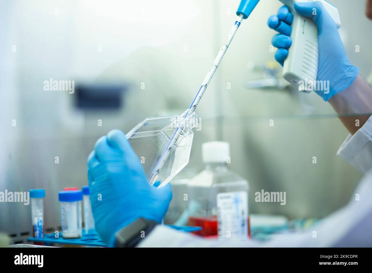 Lab Bio Cell cell culture, medicine, medical and biology laboratory Stock Photo - Alamy