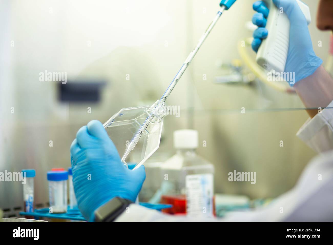 cell culture, medicine, medical and biology laboratory Stock Photo Alamy