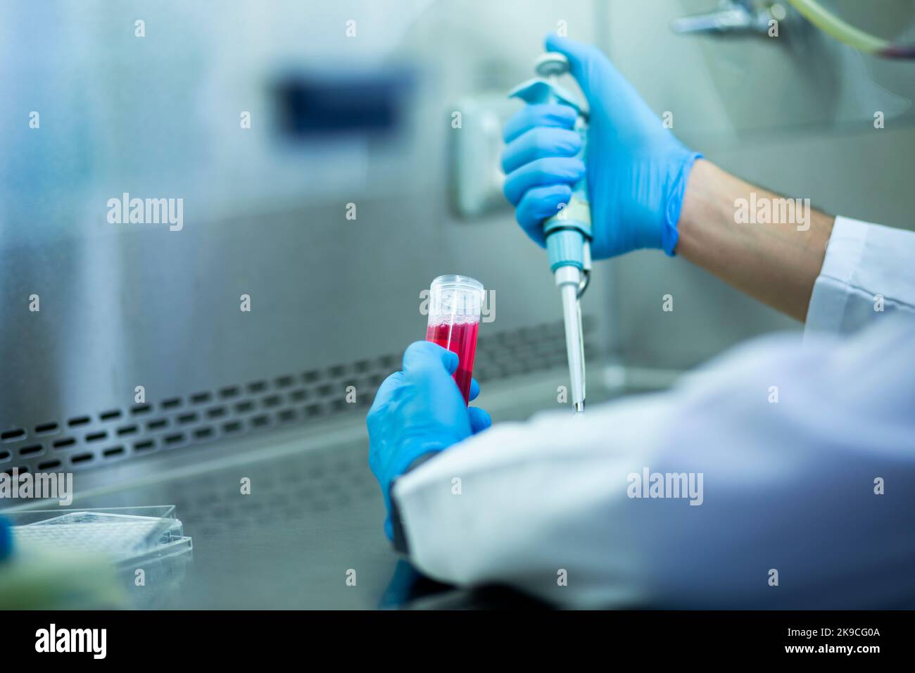 Lab Bio Cell cell culture, medicine, medical and biology laboratory Stock Photo - Alamy