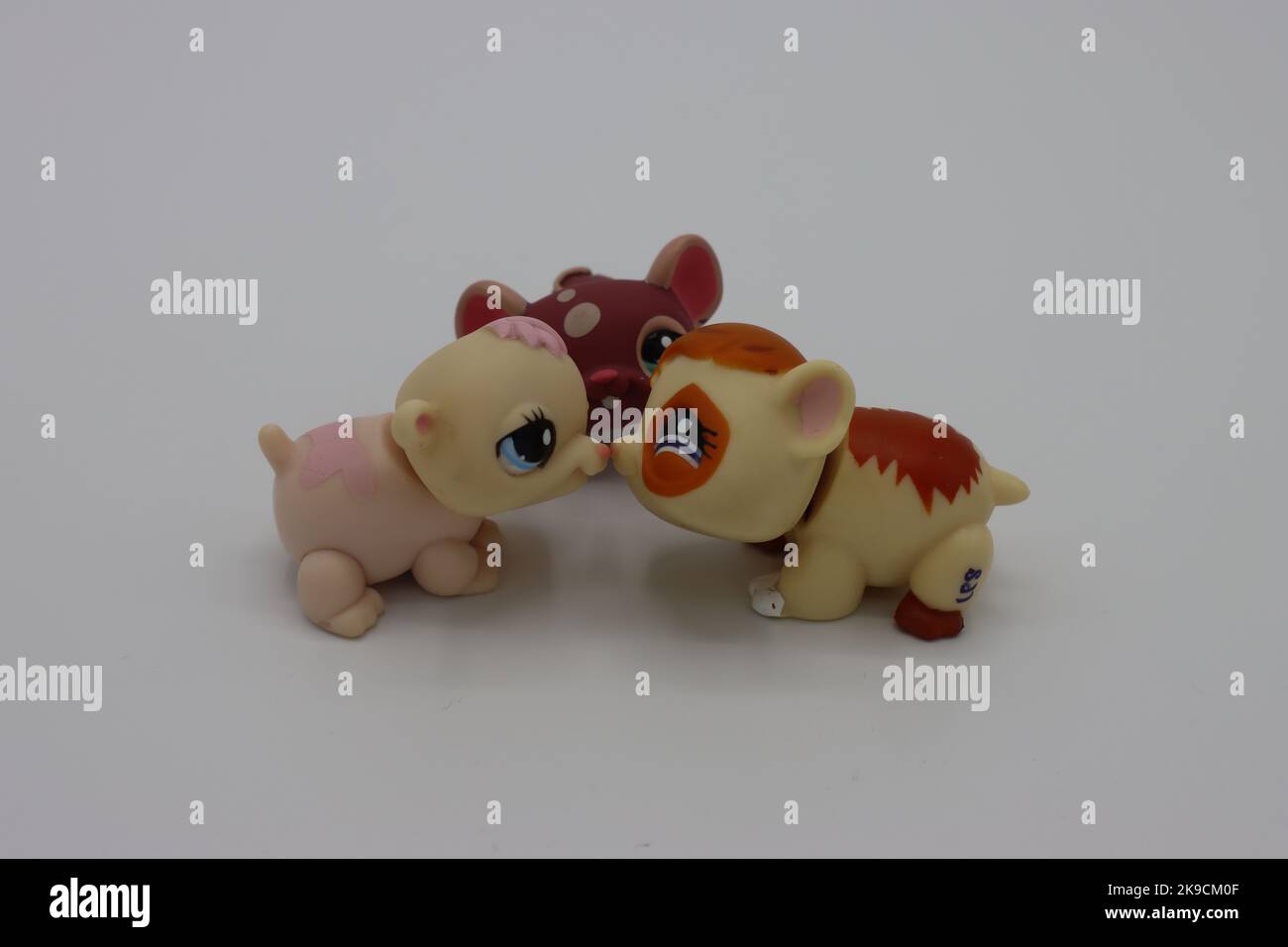 https://c8.alamy.com/comp/2K9CM0F/tiny-cute-plastic-kissing-guinea-piganimal-figure-on-a-white-background-collectible-isolated-littlest-pet-shop-figure-with-big-head-and-big-eyes-2K9CM0F.jpg