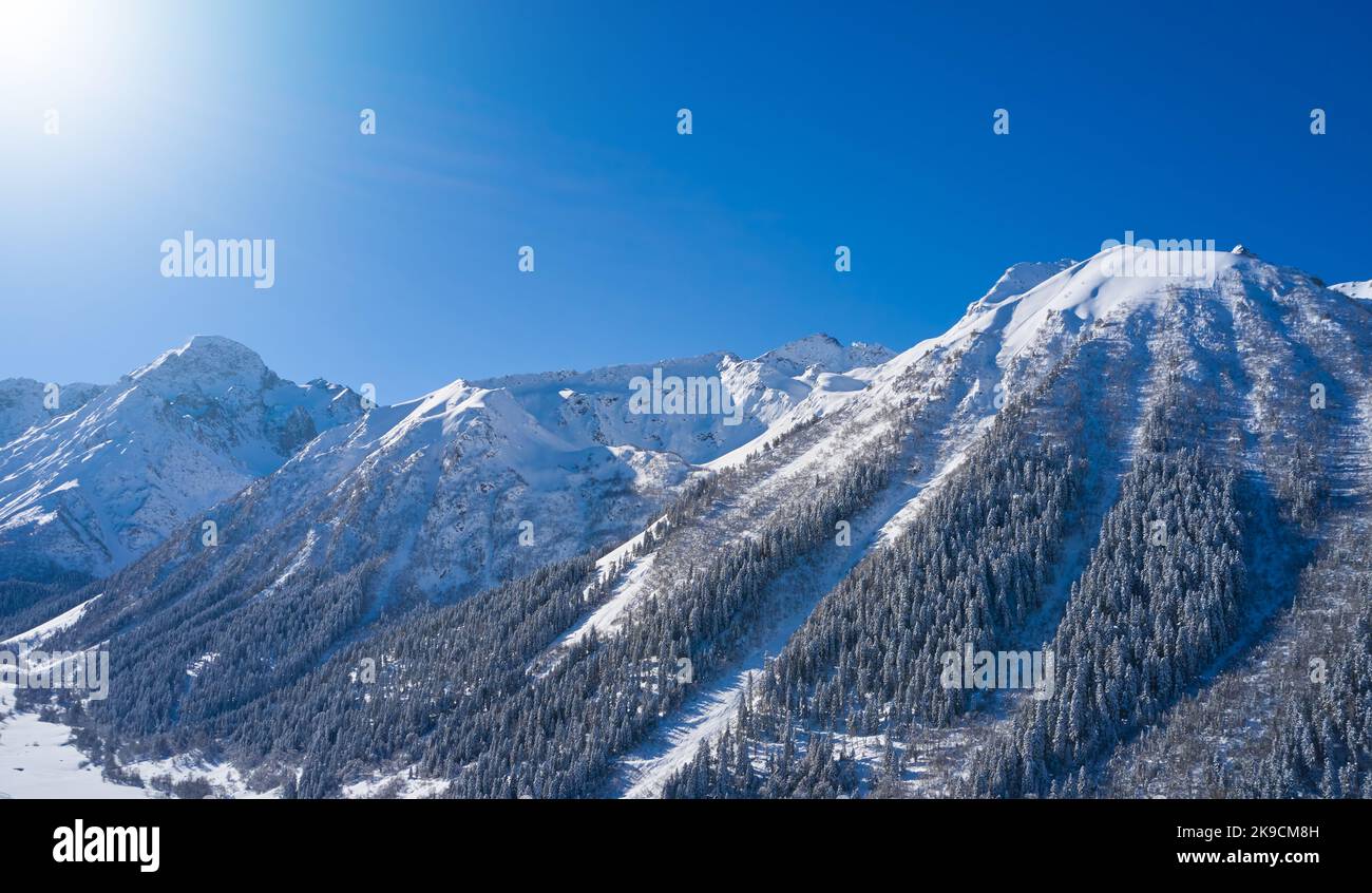 Snow capped mountains with trees in Russia. Stock Photo