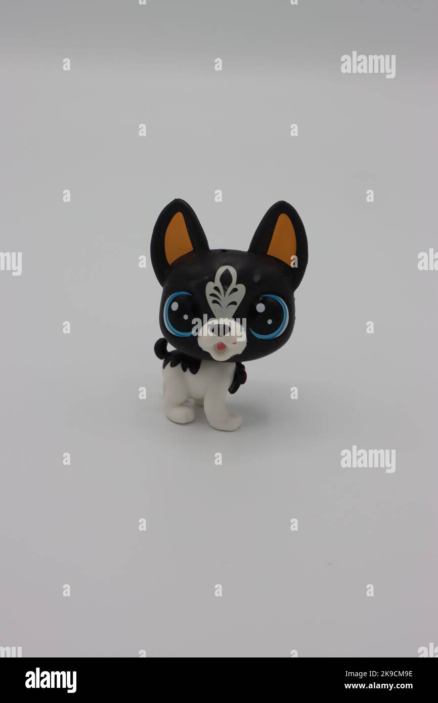 https://c8.alamy.com/comp/2K9CM9E/tiny-cute-plastic-dog-animal-figure-on-a-white-background-collectible-isolated-littlest-pet-shop-figure-with-big-head-and-big-eyes-2K9CM9E.jpg