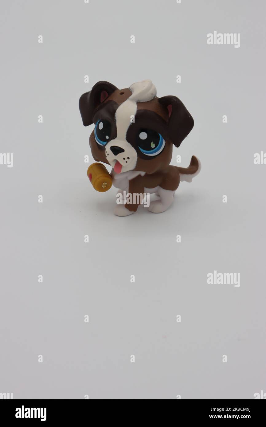 Littlest pet shop hi-res stock photography and images - Alamy