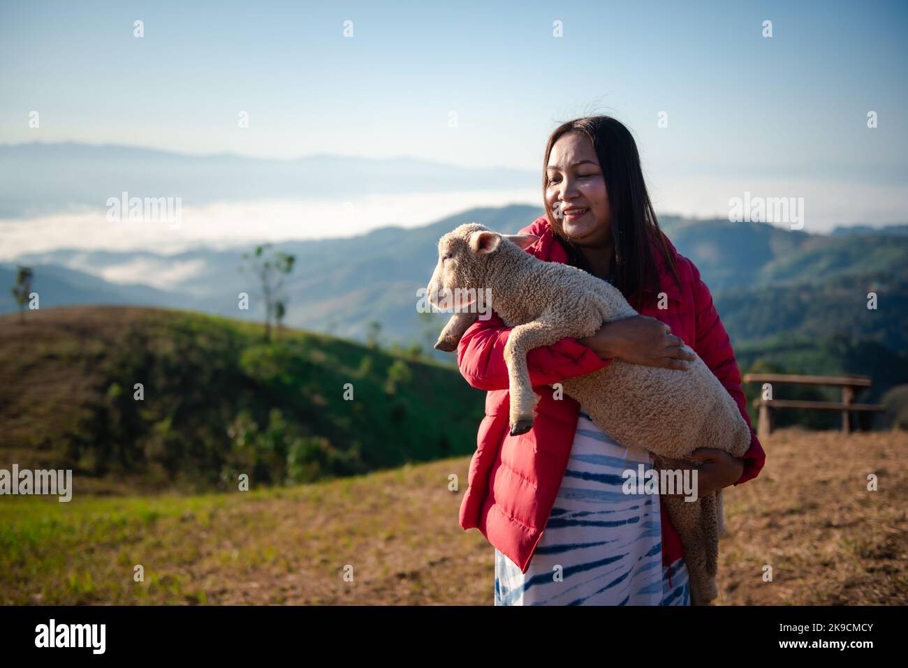 Young Asian woman is hugging intimately a little lamb at sheep farm in ...