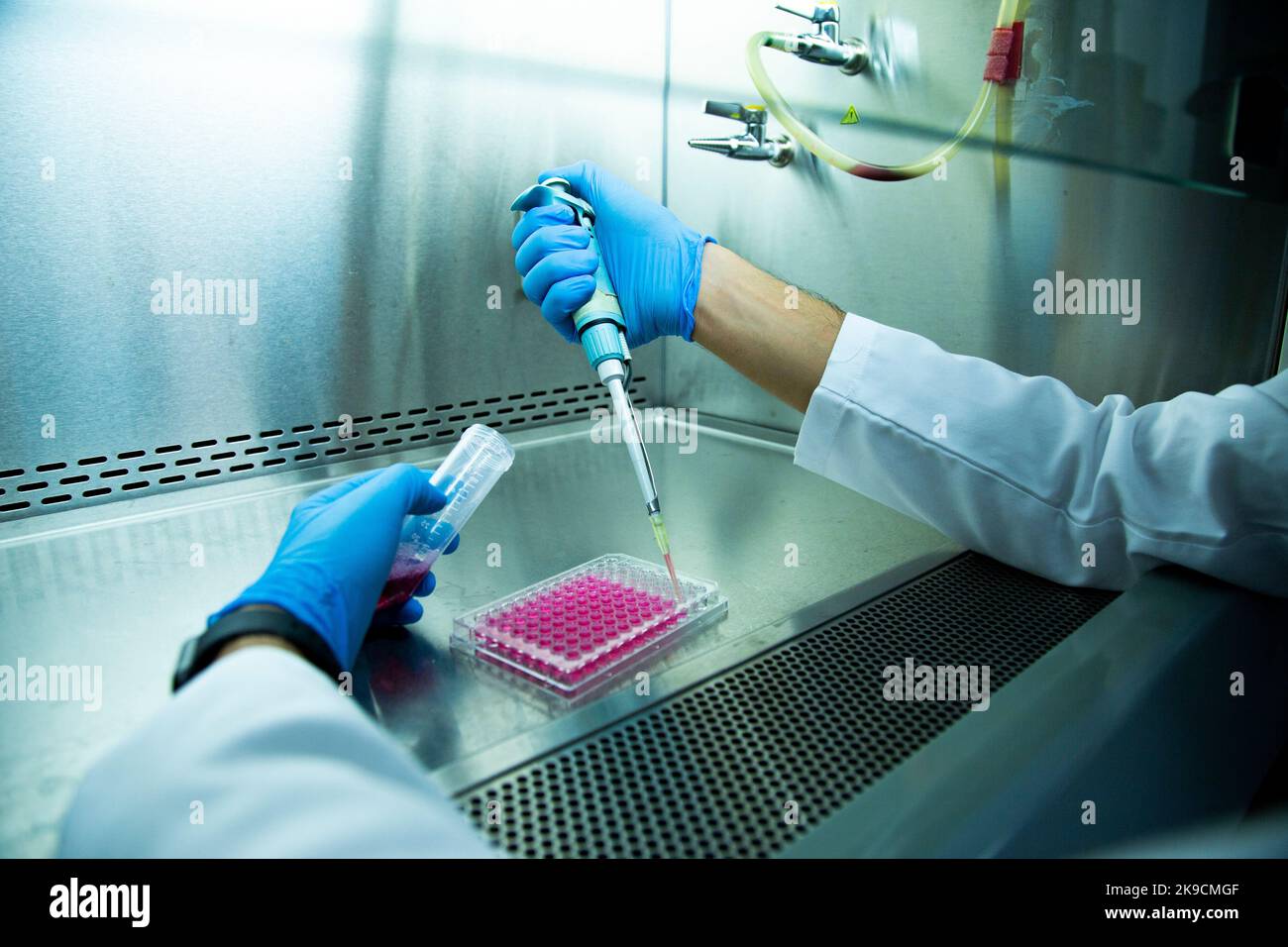 Lab Bio Cell cell culture, medicine, medical and biology laboratory Stock Photo - Alamy