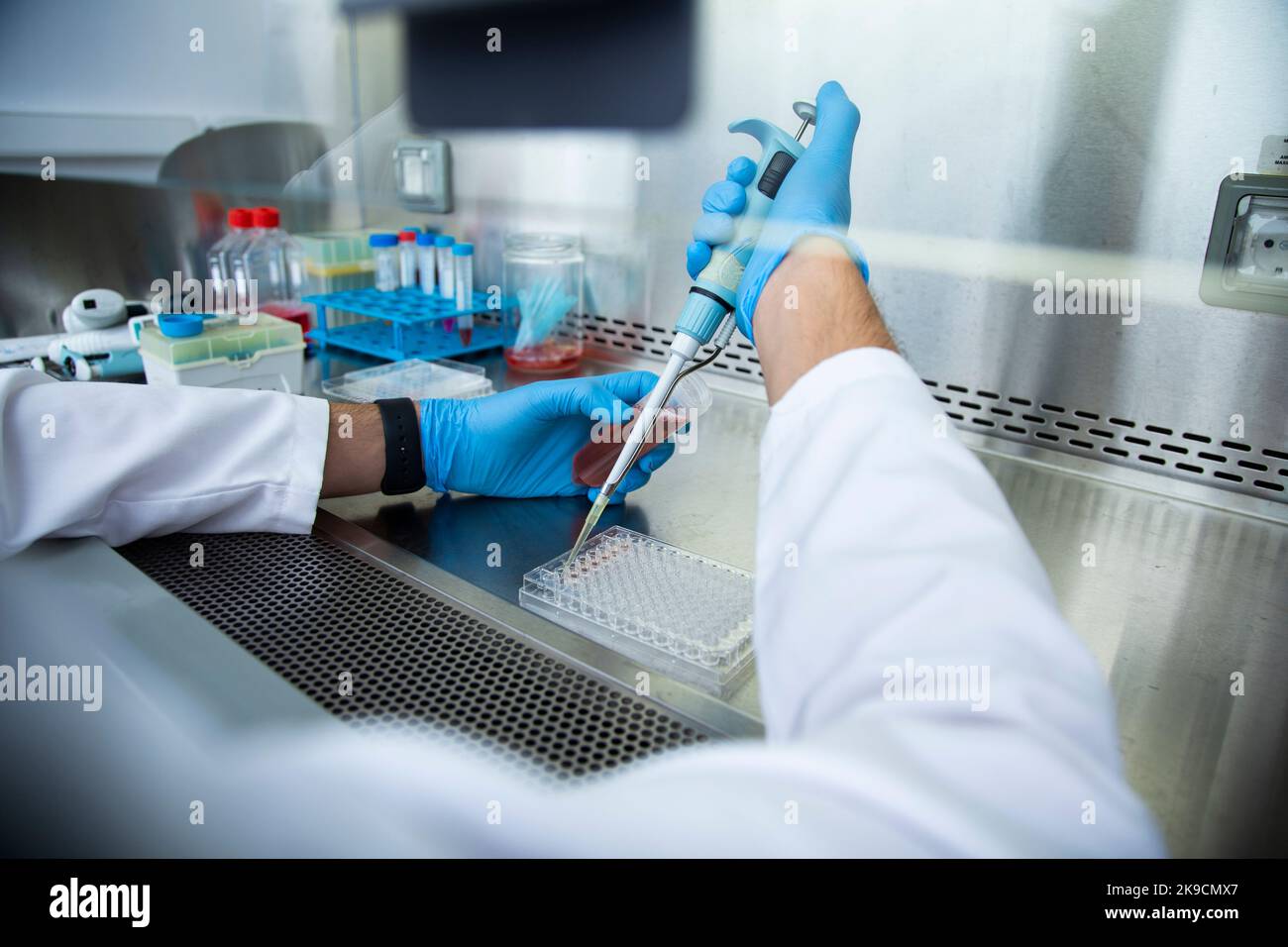 Lab Bio Cell cell culture, medicine, medical and biology laboratory Stock Photo - Alamy