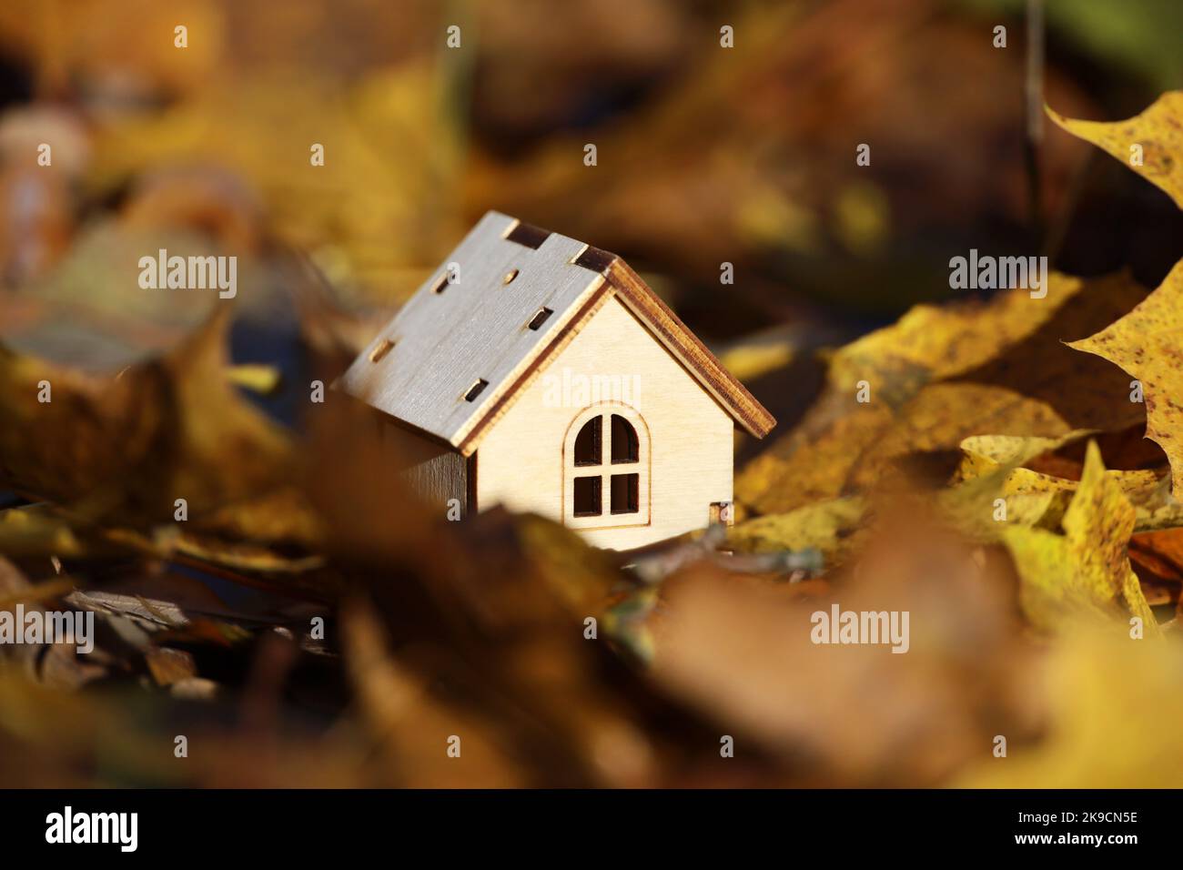 Small wooden house model on maple leaves background. Concept of country cottage, housing search in autumn, real estate in ecologically clean area Stock Photo