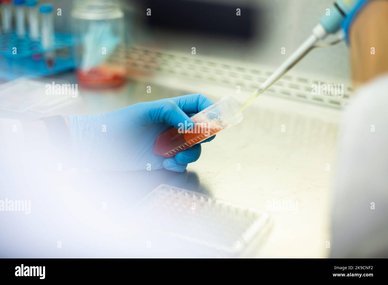 Lab Bio Cell cell culture, medicine, medical and biology laboratory Stock Photo - Alamy