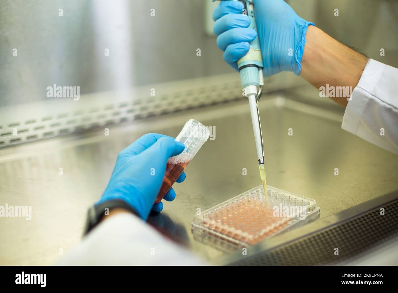 Lab Bio Cell cell culture, medicine, medical and biology laboratory Stock Photo - Alamy